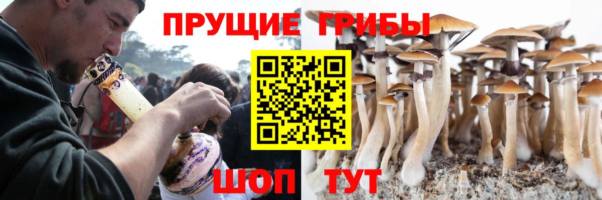 Нижний Новгород  Галлюциногенные грибы ЛСД  Вход с VPN  Галлюциногенные грибы Psilocybe 